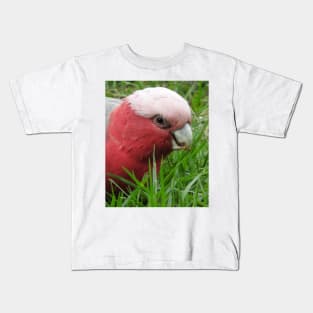 Galah Kids T-Shirt